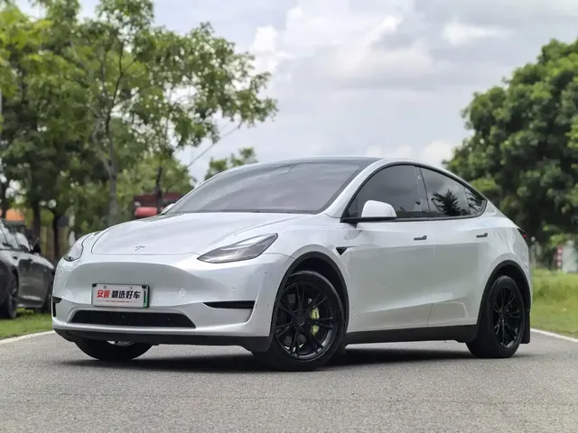 Tesla Model Y 2022 Rear-Wheel Drive Version