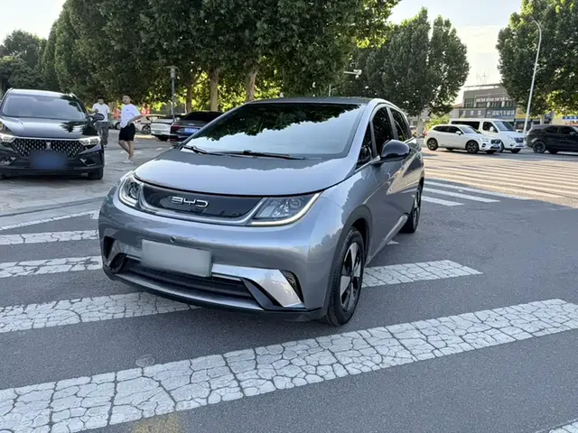 BYD Dolphin 2023 420km Freedom Edition
