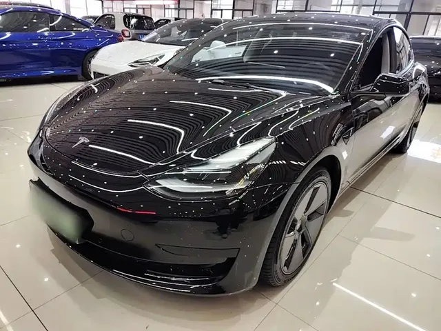 Tesla Model 3 2021 Standard Range Rear-Wheel Drive Upgrade 3D6