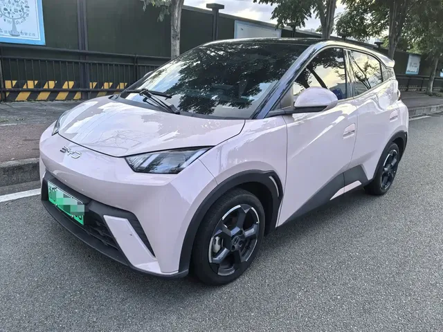 BYD Seagull 2024 Glory Edition 305km Freedom Edition