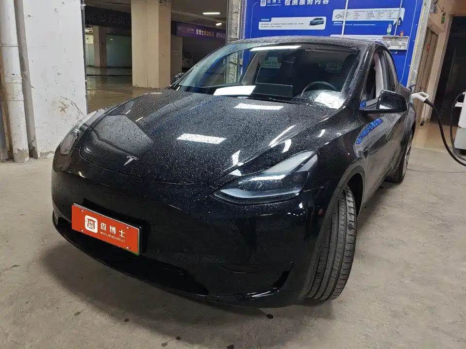 Tesla Model Y 2022 Rear-Wheel Drive Version