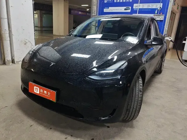 Tesla Model Y 2022 Rear-Wheel Drive Version