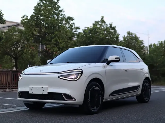 Dongfeng Yipai Nano 01 2024 330 Plus