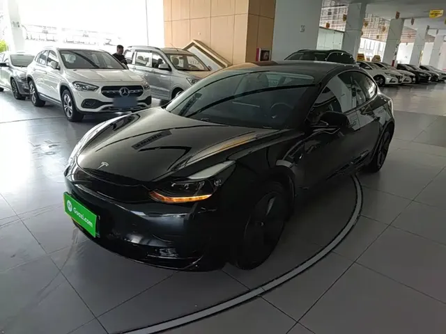 Tesla Model 3 2021 Standard Range Rear-Wheel Drive Upgrade