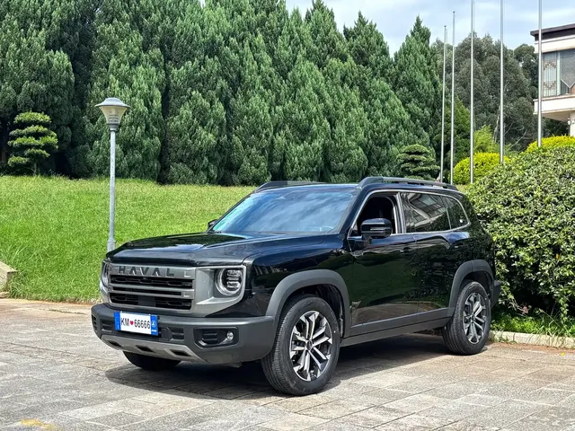 Haval Big Dog 2024 1.5T DCT Border Collie Edition