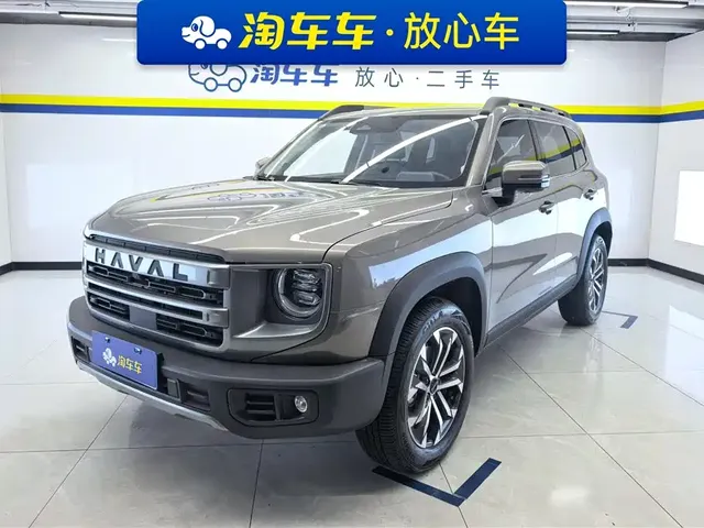 Haval Big Dog 2024 1.5T DCT Border Collie Edition