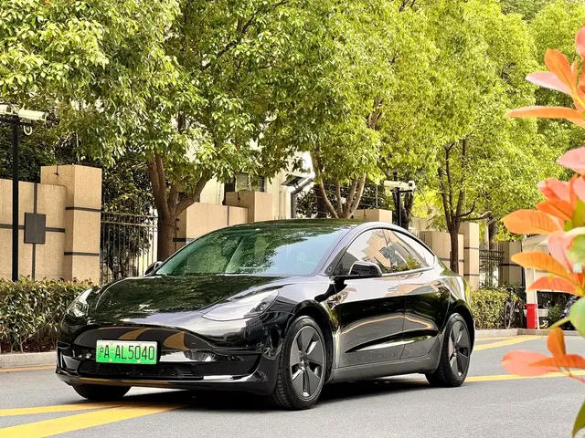 Tesla Model 3 2022 Model Rear-Wheel Drive Version