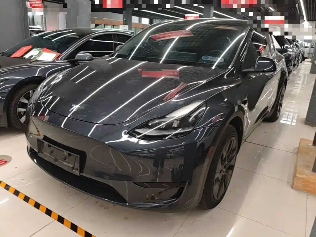 Tesla Model Y 2024 Rear-Wheel Drive Version