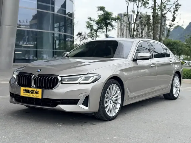 BMW 5 Series 2021 530Li Premium Luxury Package