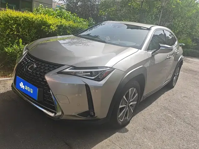 Lexus UX Electric 2020 300e Pure Yue Edition