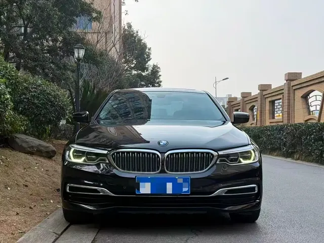 BMW 5 Series 2020 530Li Leading Luxury Package