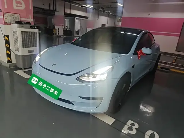 Tesla Model 3 2022 Model Rear-Wheel Drive Version