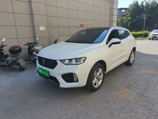 WEY VV5 2019 1.5T 2WD Style Pioneer