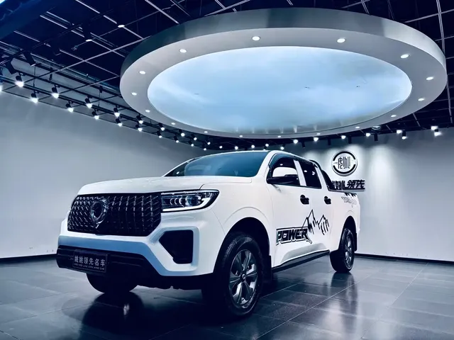 Great Wall Pao 2024 Model 2.4T Commercial Version Automatic Diesel 4WD Elite Type