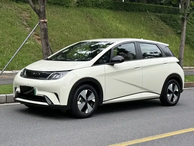 BYD Dolphin 2023 420km Freedom Edition