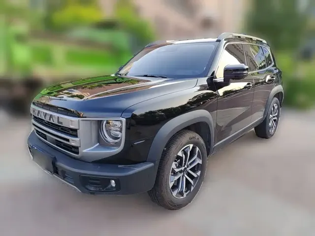 Haval Big Dog 2024 1.5T DCT Border Collie Edition
