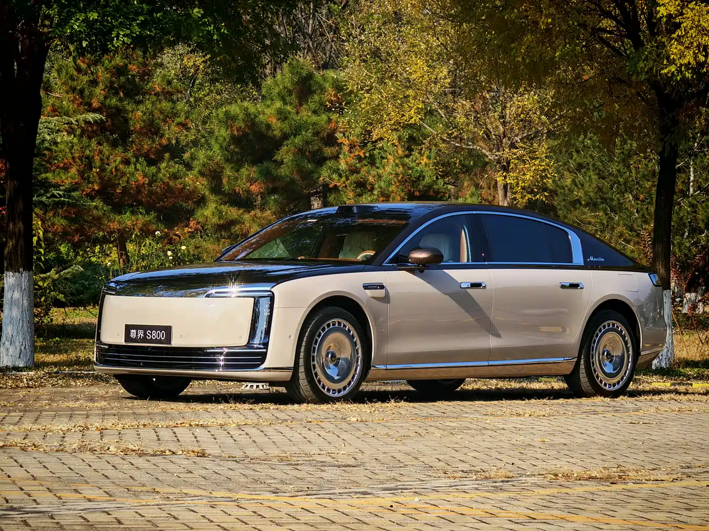 Zunjie S800 2025 Range Extender Starlight Executive 4-Seater
