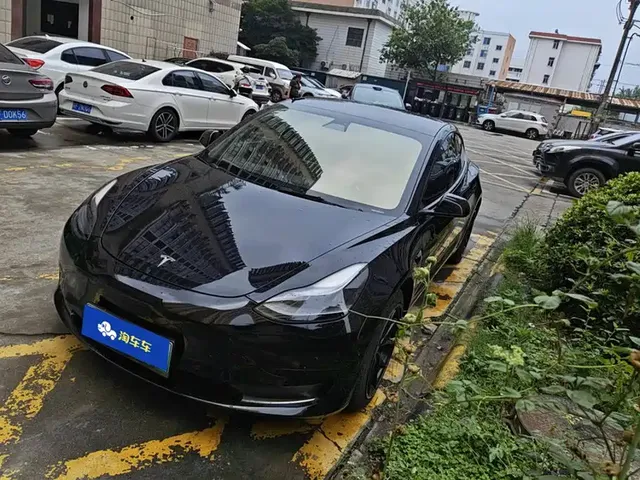 Tesla Model 3 2021 Standard Range Rear-Wheel Drive Upgrade