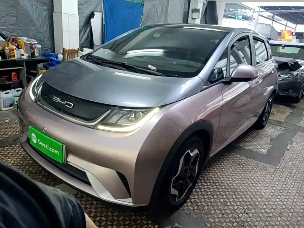 BYD Dolphin 2021 Model 405km Fashion Edition