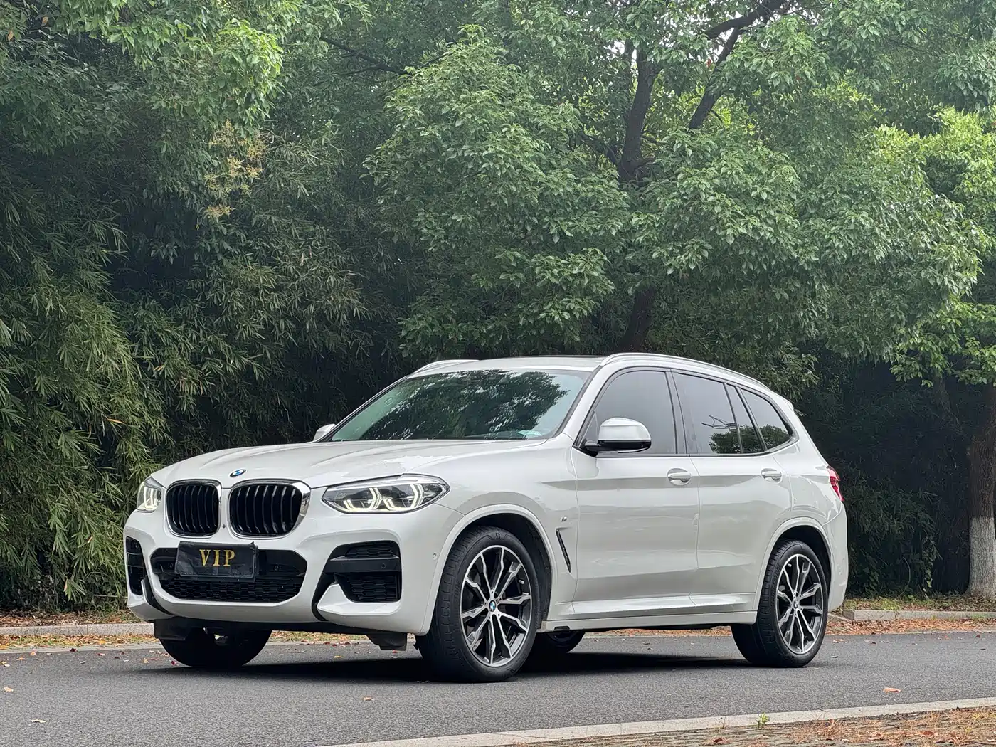 BMW X3 2020 xDrive30i Leading M Sport Package