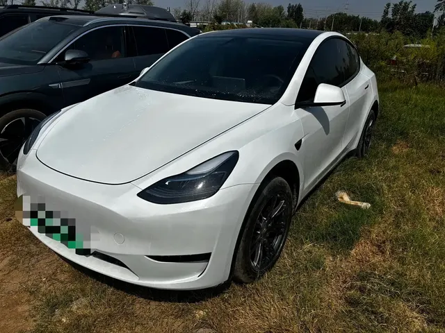Tesla Model Y 2024 Rear-Wheel Drive Version