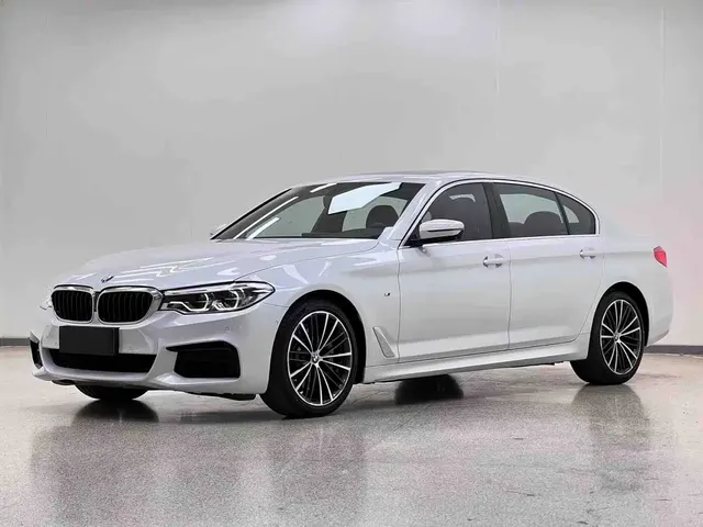 BMW 5 Series 2020 530Li Leading M Sport Package