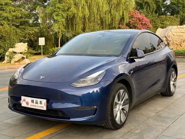 Tesla Model Y 2021 Standard Range Rear-Wheel Drive