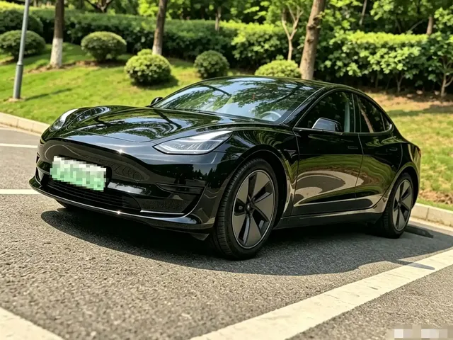 Tesla Model 3 2022 Model Rear-Wheel Drive Version