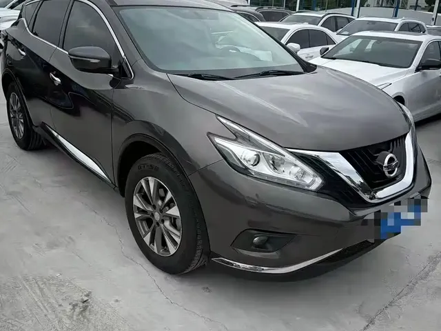 Nissan Murano 2019 2.5L XE 2WD Elite (China V)