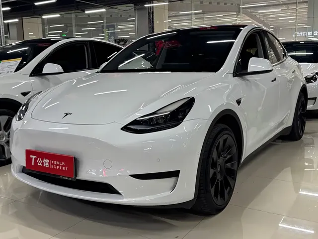 Tesla Model Y 2023 Rear-Wheel Drive Edition