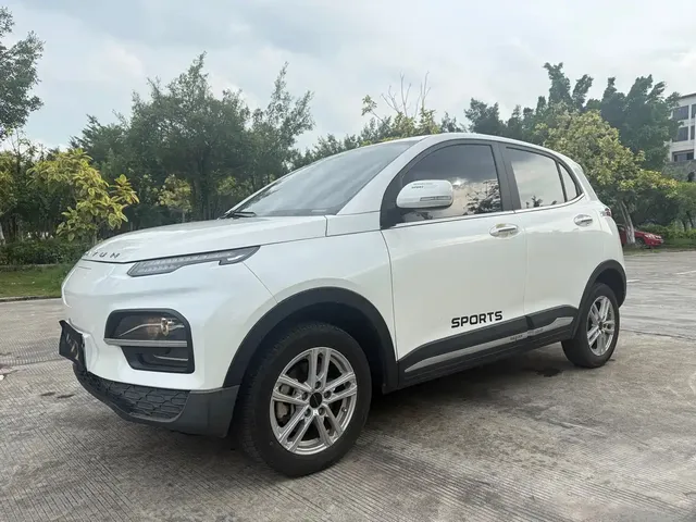 Dayun Yuehu 2022 300 VIP Edition
