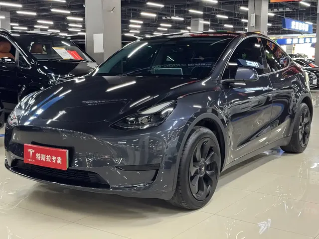 Tesla Model Y 2024 Rear-Wheel Drive Version