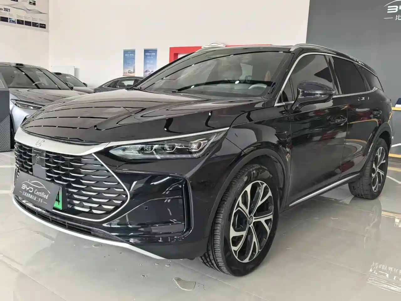 BYD Tang New Energy 2025 Smart Driving Edition DM-i 115KM Flagship