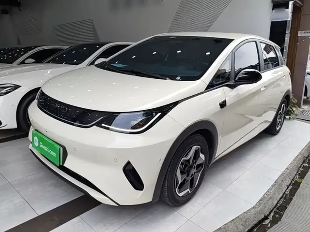 BYD Dolphin 2024 Glory Edition 420km Fashion Edition