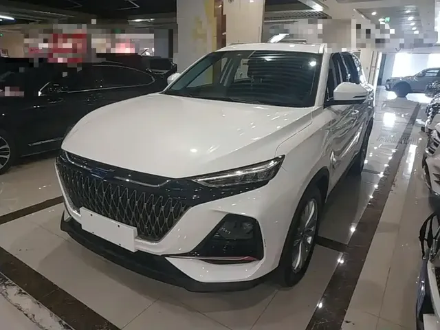 Changan Oshan X7 PLUS 2022 1.5T Blue Whale Edition Auto Executive