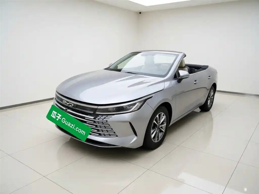 BYD Destroyer 05 2023 Champion Edition DM-i 55KM Luxury