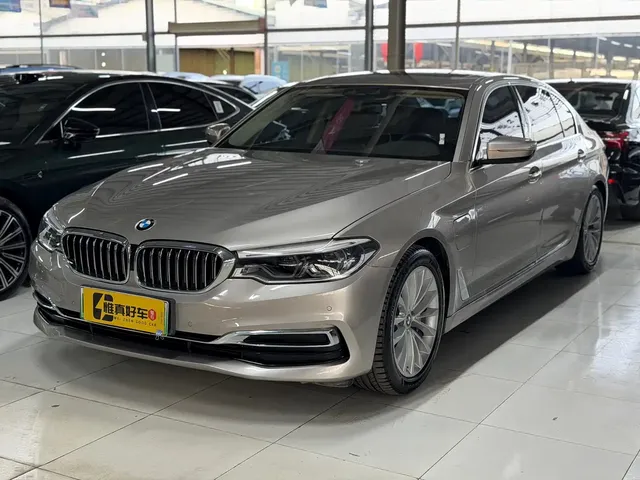 BMW 5 Series New Energy 2020 530Le Luxury Package