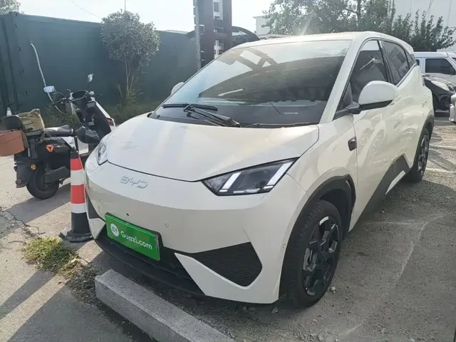 BYD Seagull 2025 Smart Driving Edition 405km Flying Edition
