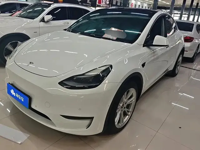Tesla Model Y 2021 Model Long Range AWD