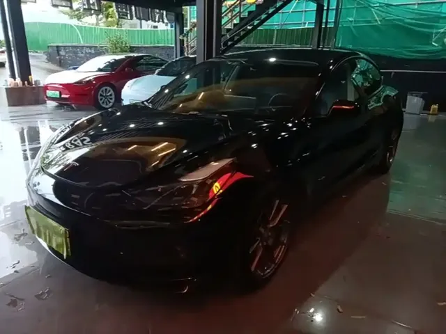 Tesla Model 3 2022 Model Rear-Wheel Drive Version