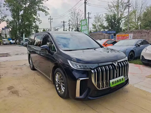 Voyah Auto Voyah Dreamer 2024 PHEV Extended Range Flagship Edition