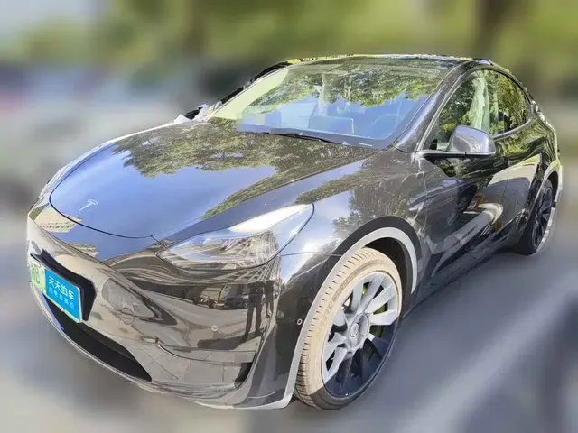 Tesla Model Y 2022 Rear-Wheel Drive Version