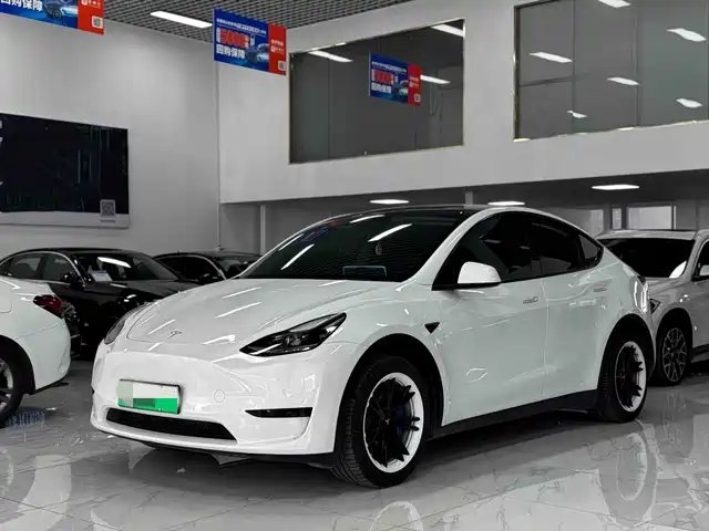 Tesla Model Y 2022 Facelift Rear-Wheel Drive Version