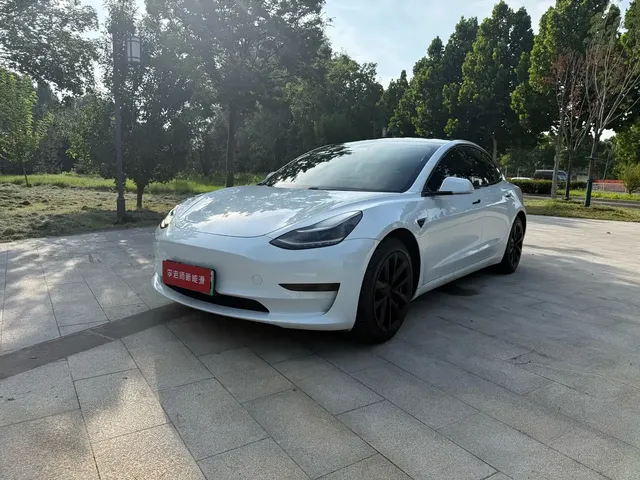 Tesla Model 3 2020 Standard Range Rear-Wheel Drive Upgrade