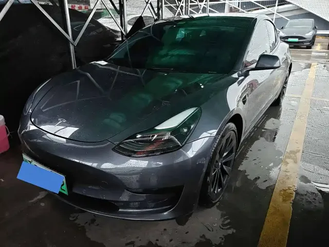 Tesla Model 3 2021 Standard Range Rear-Wheel Drive Upgrade 3D6
