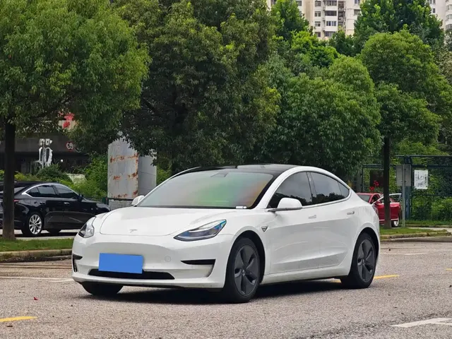 Tesla Model 3 2020 Standard Range Rear-Wheel Drive Upgrade