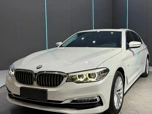 BMW 5 Series 2018 530Li xDrive Luxury Package