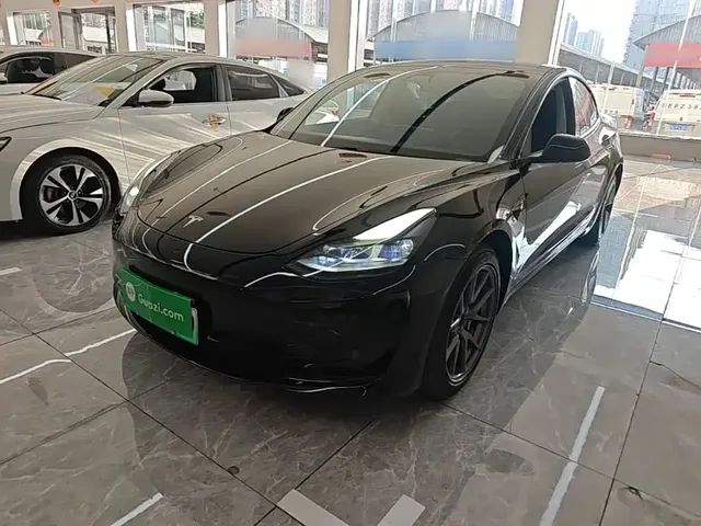 Tesla Model 3 2021 Standard Range Rear-Wheel Drive Upgrade