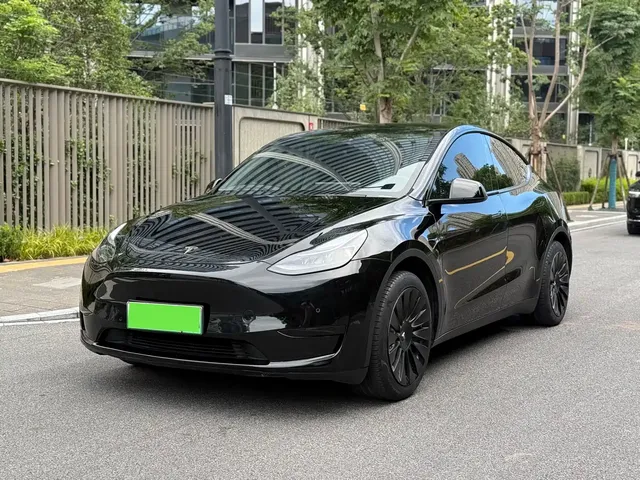 Tesla Model Y 2022 Rear-Wheel Drive Version