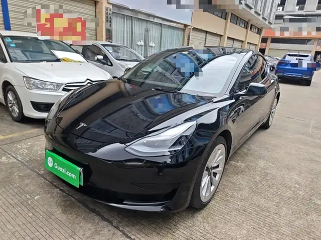 Tesla Model 3 2021 Standard Range Rear-Wheel Drive Upgrade 3D6